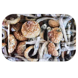 Photo of Pulsar “Shroom Collage” Metal Rolling Tray (11” x 7”)