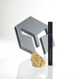 Photo of Terra Disposable 1/2 GM