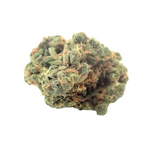 Photo of 20:1 PSH 18