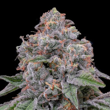 Photo of Cake Batter