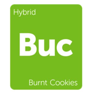 Photo of Burnt Cookies