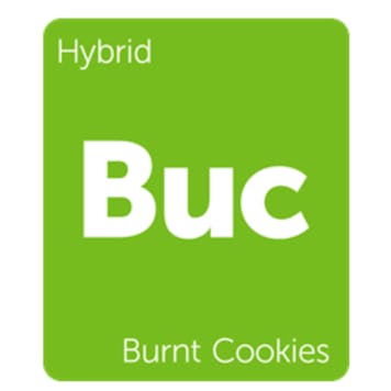 Photo of Burnt Cookies