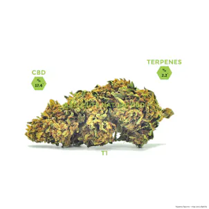 Photo of T1 (Trump) CBD Hemp Flower Buds For Sale