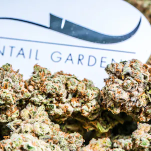 Photo of 9 Pound Hammer