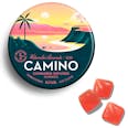 5mg Camino 'Bliss' Watermelon Lemonade Gummies 100mg THC total