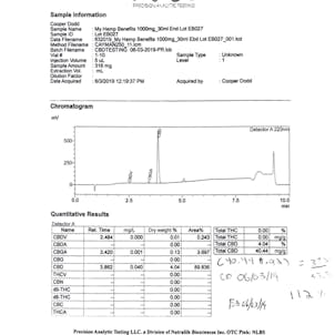 Photo of 1000 mg CBD Spray Full Spectrum