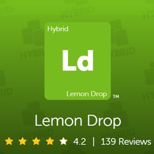 Photo of Lemon Drop CBD Hemp