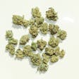 Product image for T1 - 12.4% CBD, 1.296% Total Terpenes, Fruity, Floral, Orange, Indica, Rest, Clones