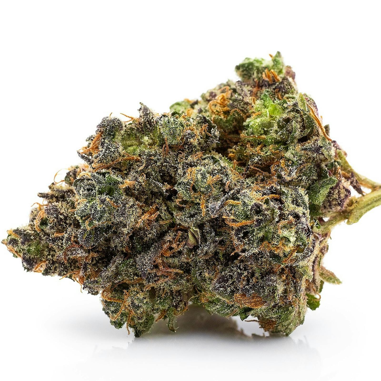 Good Day Farm Good Day Farm Rainbow Sprinkles Exotics Flower 3.5g