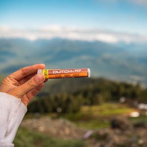 Photo of Dutch-47 Pre-Roll