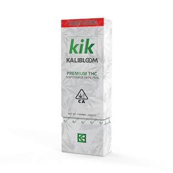 Photo of Kik 1G THC Disposable Vape