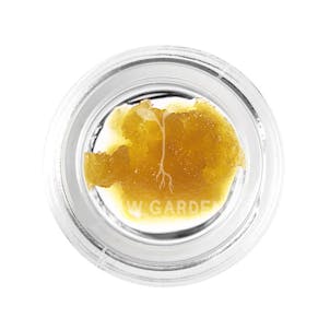 Photo of Chem Bubbly Live Resin 1g