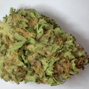 Photo of Rumpleberry