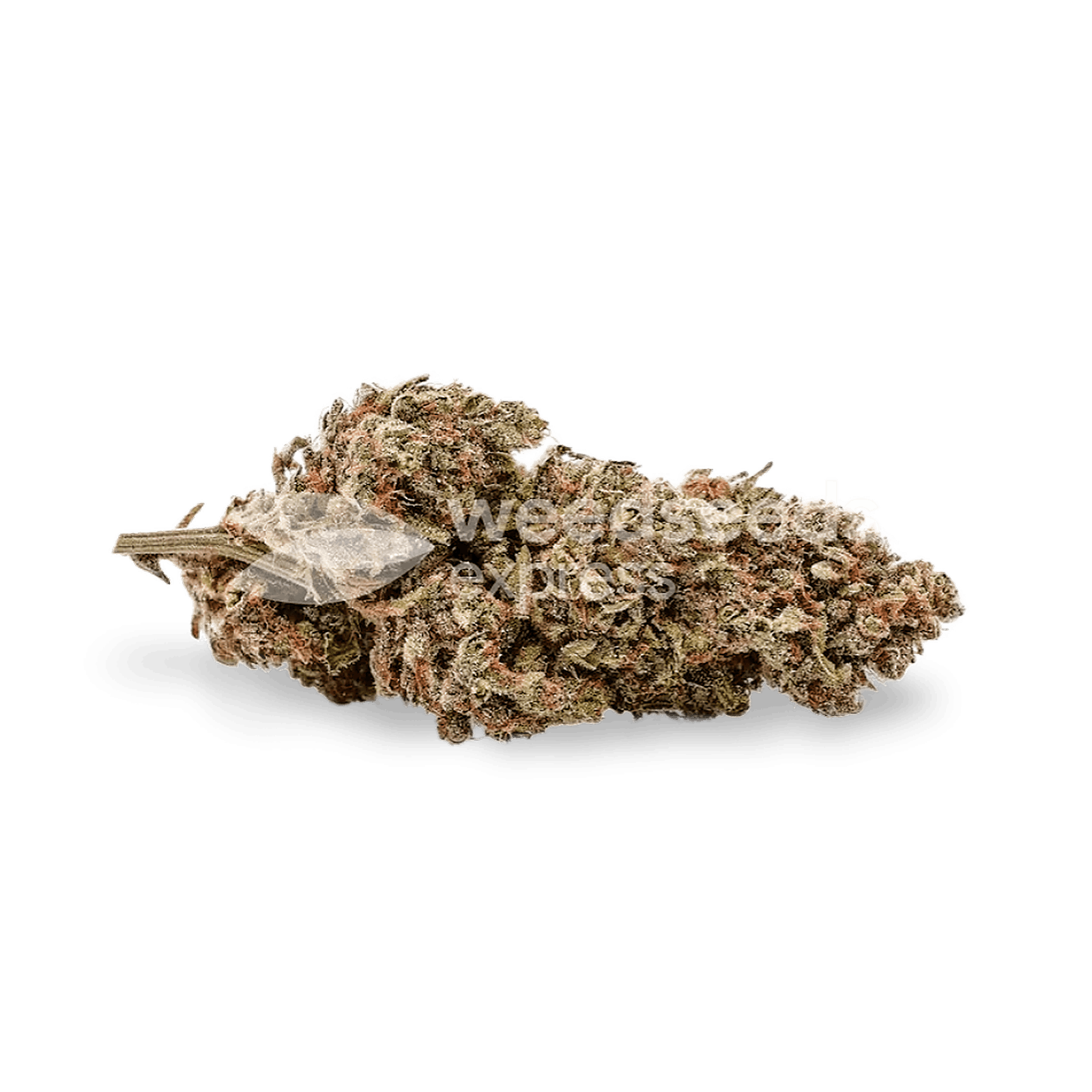 Weedseedsexpress Fruity Pebbles feminized seeds Leafly
