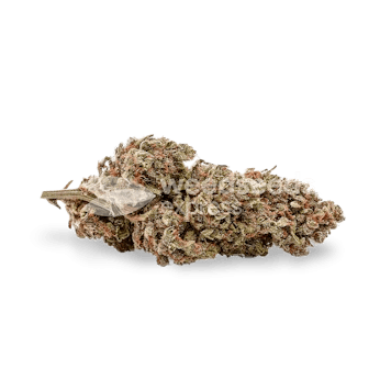 Photo of Fruity Pebbles Feminized Seeds