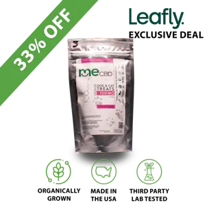 Photo of CBD Pet Treats