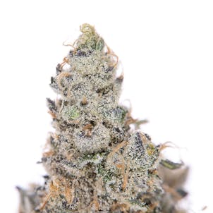 Photo of Beach Wedding