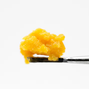 Photo of Ice Cream Cake | Badder