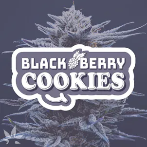 Photo of Blackberry Cookies