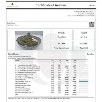 Photo of Blue Cheese Indoor-Grown CBD Flower (23.6% CBD)