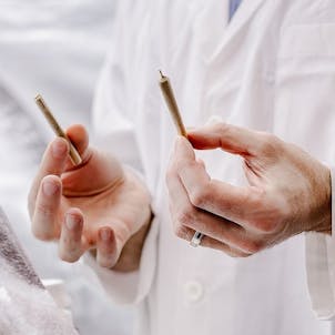 Photo of Ice Cream Cake Full Flower Pre-Rolls 3.5g 7-pack