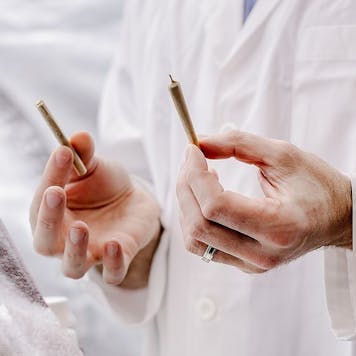 Photo of Ice Cream Cake Full Flower Pre-Rolls 3.5g 7-pack