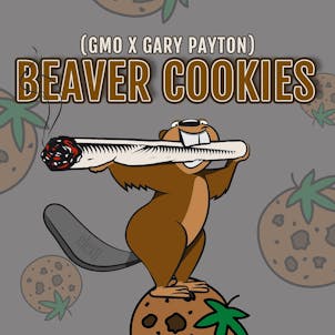 Photo of Beaver Cookies