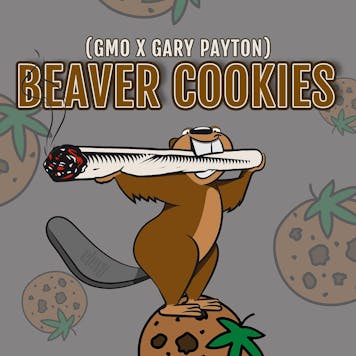 Photo of Beaver Cookies