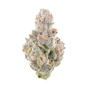 Photo of Designer Runtz