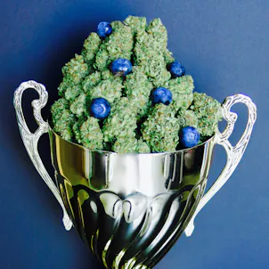 Photo of Rebel Berry OG