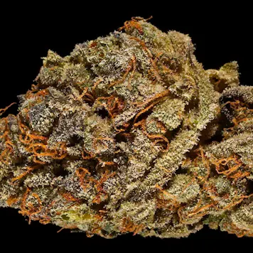 Photo of Northern Lights