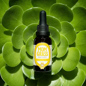 Photo of Mom Grass Anytime Formula CBG Tincture