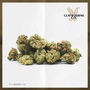 Photo of OG Kush (14g) - Small Buds