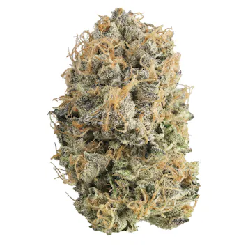 Photo of Hindu Mints Premium