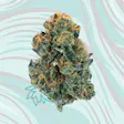Product image for Wookies