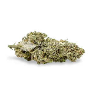 Photo of Critical Purple Autoflower Seeds