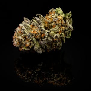 Photo of Purple Kush