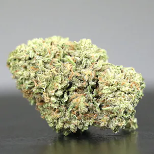 Photo of Sorbet Diesel