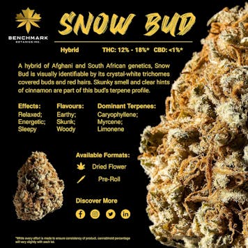 Photo of Snow Bud