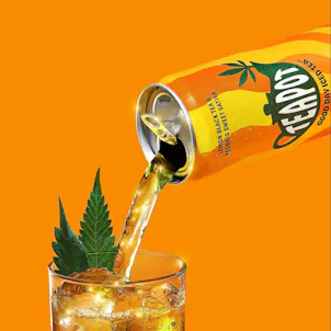 Photo of TeaPot - Good Day Iced Tea (Lemon Black Tea & Pedro's Sweet Sativa)