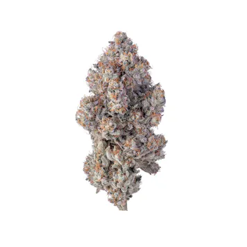 Photo of Violet Fog 1g Flower