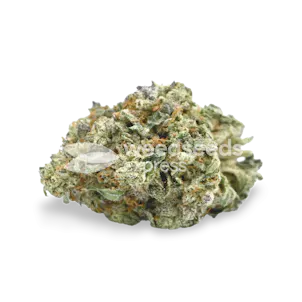 Photo of Hindu Kush Autoflower Seeds