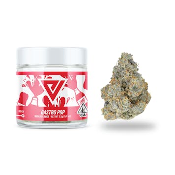 Photo of Gastro Pop 3.5G