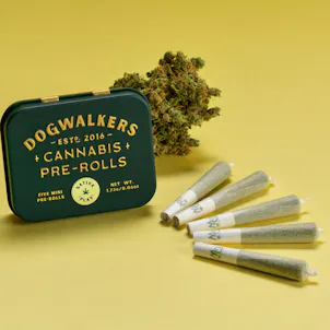Photo of Jack Herer Mini Dog Play Pre-Rolls 1.75g 5-pack
