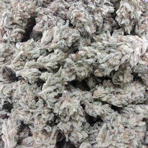 Photo of Razmanian Devil OG