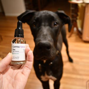 Photo of Pet CBD Oil Tincture - Unflavored