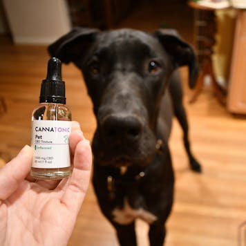 Photo of Pet CBD Oil Tincture - Unflavored