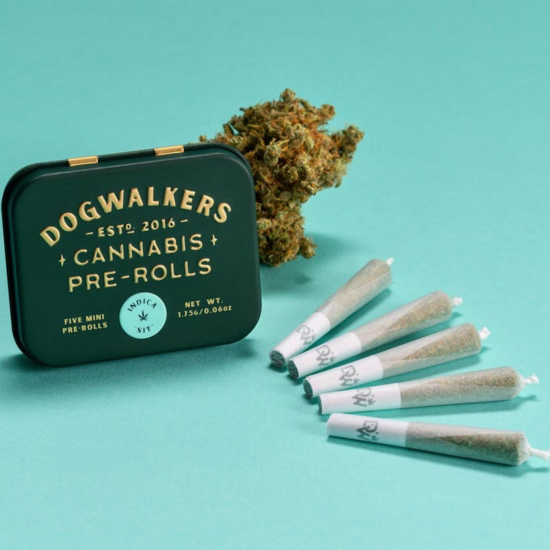 Dogwalkers Afternoon Delight 4 Mini Dog Sit PreRolls 1.75g 5pack Leafly