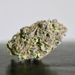 Photo of Rose City Diesel