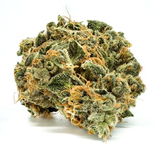 Photo of Blueberry